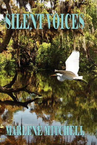 Silent Voices book cover