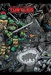 Teenage Mutant Ninja Turtles: The Ultimate Collection, Vol. 2