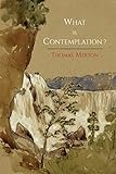 What Is Contemplation