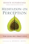 Meditation on Perception: Ten Healing Practices to Cultivate Mindfulness
