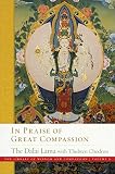 In Praise Of Great Compassion 5 The Library Of Wisdom And Compassion