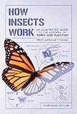 How Insects Work An Illustrated Guide To The Wonders Of Form And Functionfrom Antennae To Wings