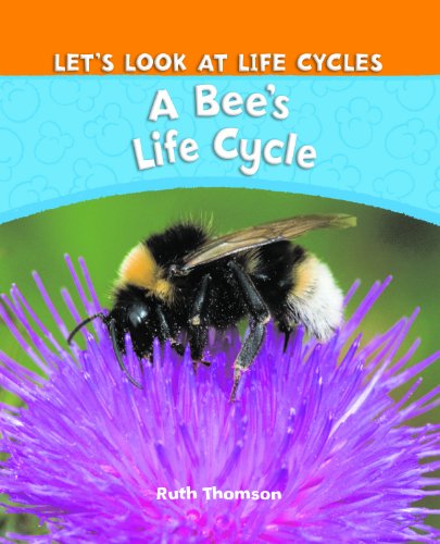 Cover of A bee's life cycle
