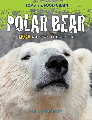 Cover of Polar Bear