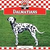 Dalmatians (Dogs)