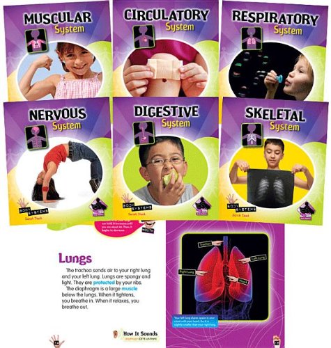 Cover of Body Systems