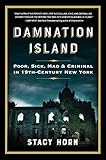 Damnation Island Poor Sick Mad And Criminal In 19thcentury New York