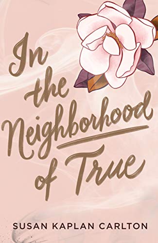 In the Neighborhood of True book cover