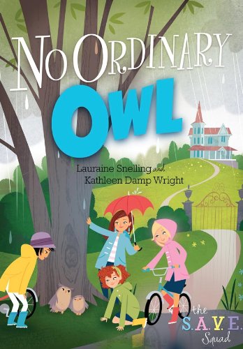 No Ordinary Owl (With: Kathleen Damp Wright) cover