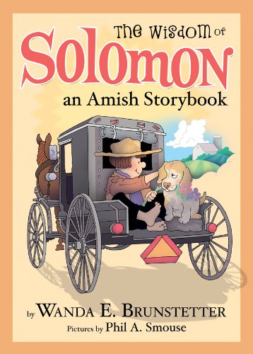 The Wisdom of Solomon Lapp book cover