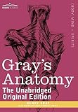 Grays Anatomy Descriptive And Surgical