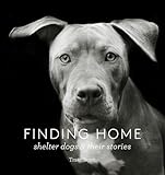 Finding Home Shelter Dogs And Their Stories A Photographic Tribute To Rescue Dogs
