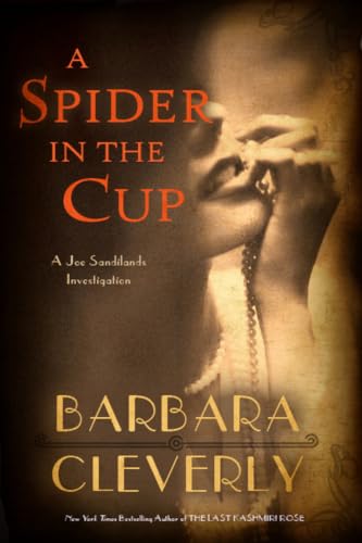 A Spider in the Cup book cover