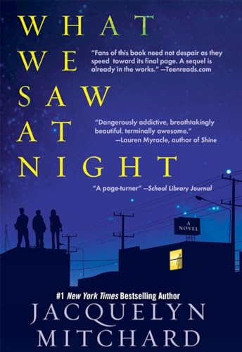 What We Saw at Night book cover
