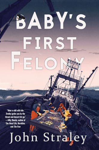 Baby's First Felony book cover