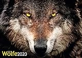 Loups Calendrier 2020