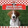 Irish Red and White Setters (Checkerboard Animal Library: Dogs)