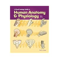 Visual Analogy Guide Human Anatomy and Physiology (Looseleaf)