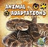 Animal Adaptations