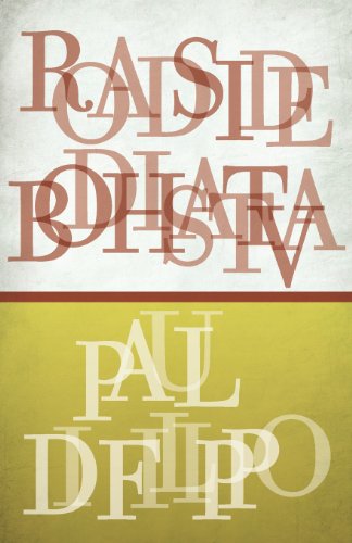 Roadside Bodhisattva book cover