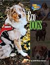 Eco Dogs