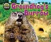Groundhog's Burrow (Science Slam: the Hole Truth!: Underground Animal Life)