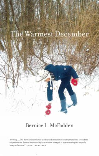 Cover of The warmest December