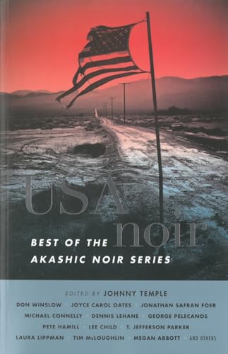 USA Noir book cover