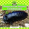 Madagascar Hissing Cockroaches (Checkerboard Animal Library: Unique Pets)