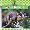 Sugar Gliders (Unique Pets)