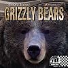 Grizzly Bears (Animal Icons)