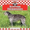 Scottish Deerhounds (Checkerboard Animal Library: Dogs)