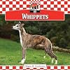 Whippets (Checkerboard Animal Library: Dogs)