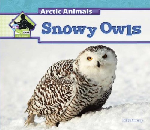 Cover of Snowy owls