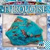 Turquoise (Checkerboard Science Library: Earth's Treasures)