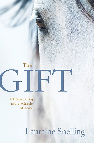 The Gift book cover