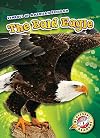 Bald Eagle, The (Blastoff! Readers Level 1: Symbols of American Freedom)