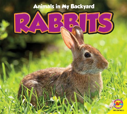 Cover of Rabbits