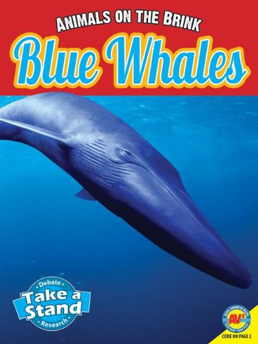Cover of Blue whales