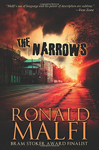 The Narrows book cover