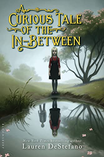 A Curious Tale of the In-Between book cover