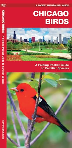 Chicago Birds: A Folding Pocket Guide to Familiar Species cover