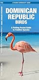 Dominican Republic Birds A Folding Pocket Guide To Familiar Species Wildlife And Nature Identification