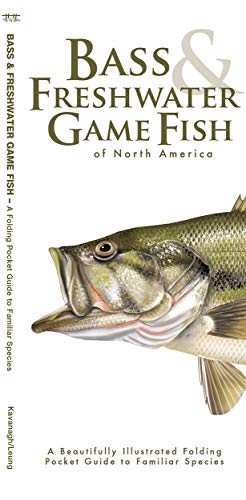 Bass & Freshwater Game Fish: A Folding Pocket Guide to Popular North American Species cover