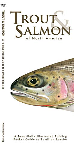 Trout & Salmon book cover