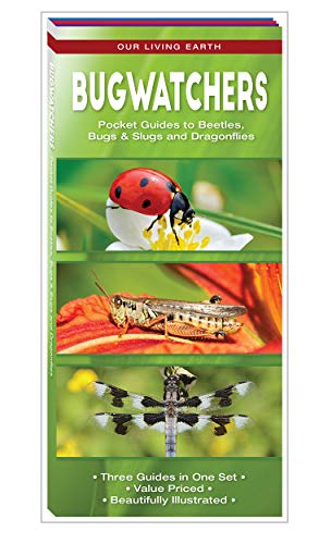 Bugwatchers book cover