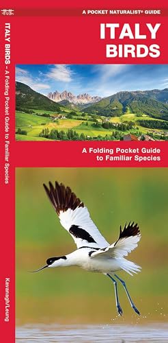 Italy Birds book cover