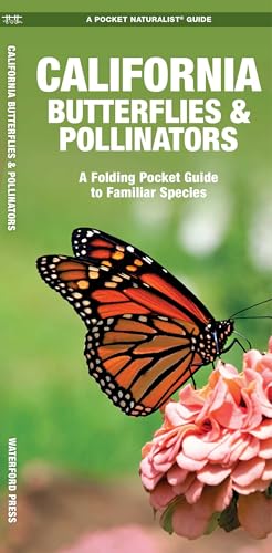 California Butterflies &amp; Moths: An Introduction to Familiar Species book cover