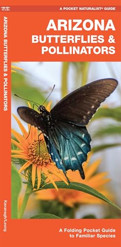 Arizona Butterflies & Pollinators: A Folding Pocket Guide to Familiar Species cover
