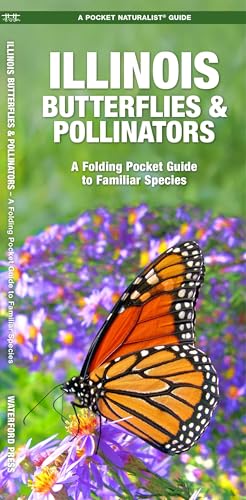 Illinois Butterflies & Pollinators: A Folding Pocket Guide to Familiar Species cover